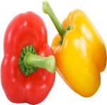 Angel juicer Angelia extracts most nutrition from bell peppers for better health and anti cancer benifit